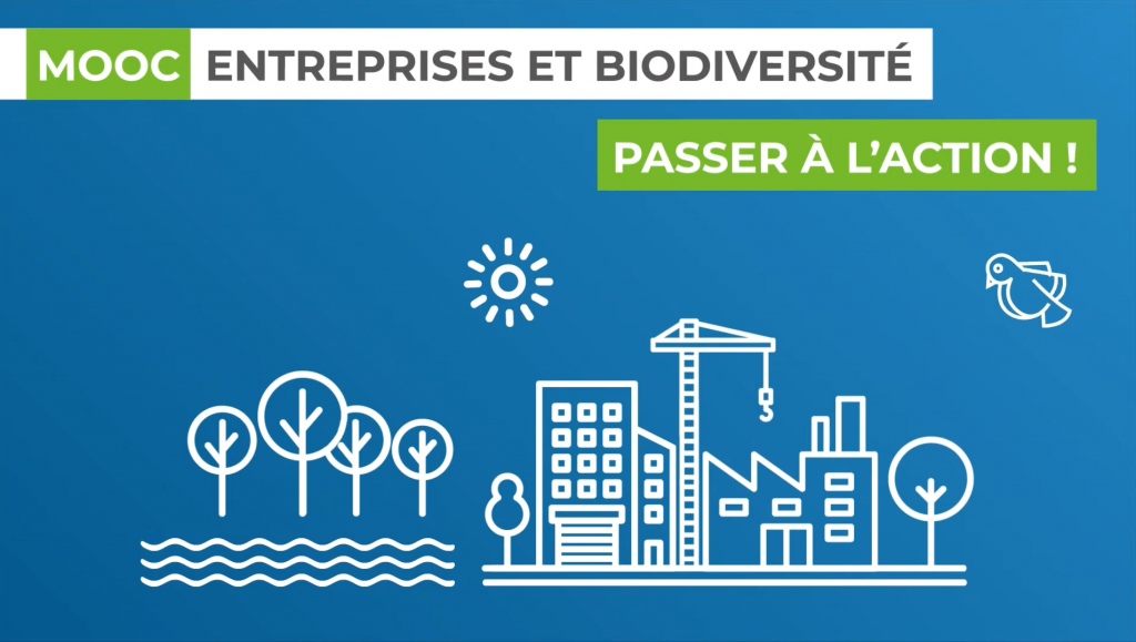 Retrouvez le MOOC "Entreprises et biodiversité", la nouvelle formation en ligne sur les enjeux environnementaux !