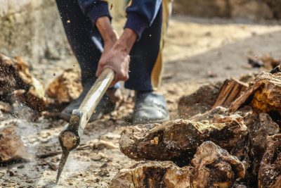 Filière forêt-bois : ne manquez pas FOREXPO 2025 !
